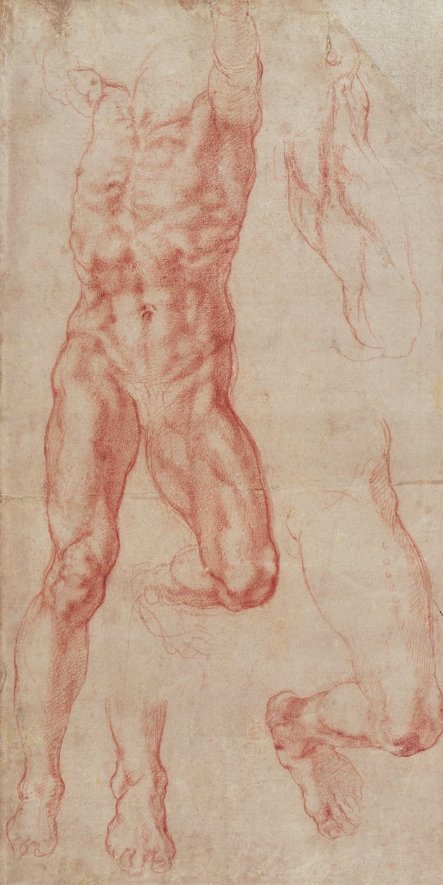 Studie af en nøgen mand, der strækker sig opad af Michelangelo Buonarroti