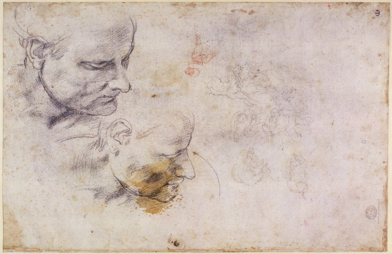 W.60 Skitse af et mandligt hoved, i to positioner af Michelangelo Buonarroti