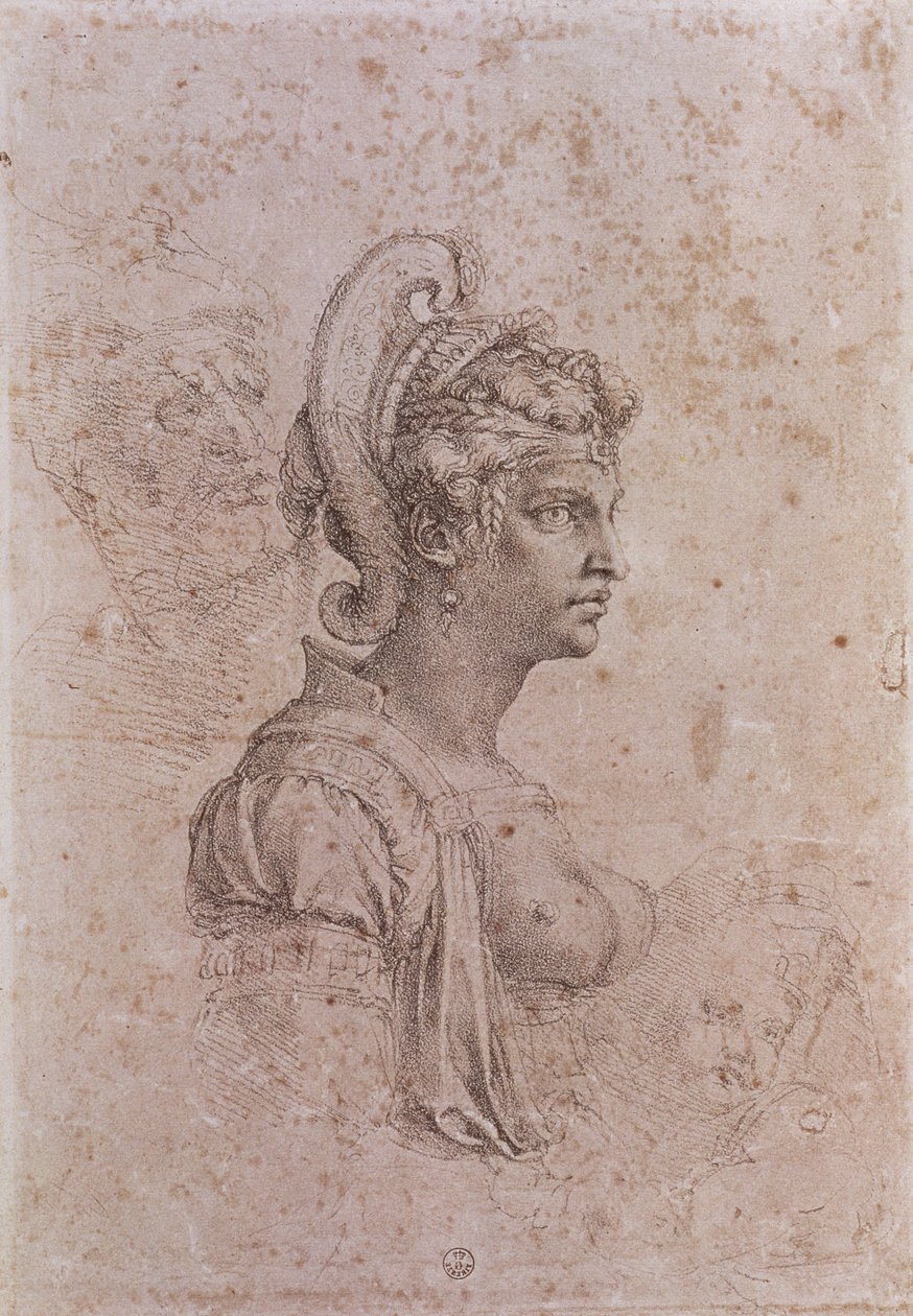 Zenobia, dronning af Palmyra, Syrien (3. århundrede e.Kr.) (kul på papir) af Michelangelo Buonarroti