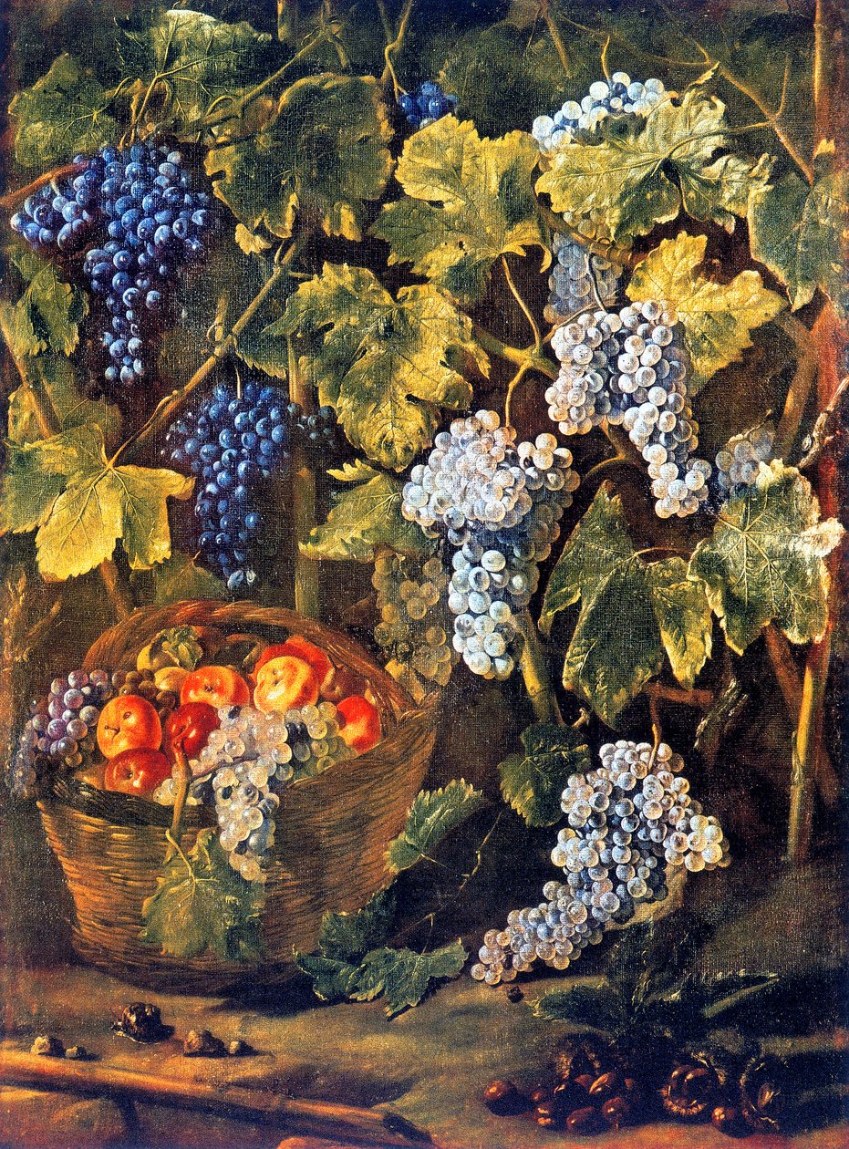 Stilleben med en kurv med frugt, kastanjer og en baggrund eller vinstokke og klaser af druer af Michelangelo Cerquozzi