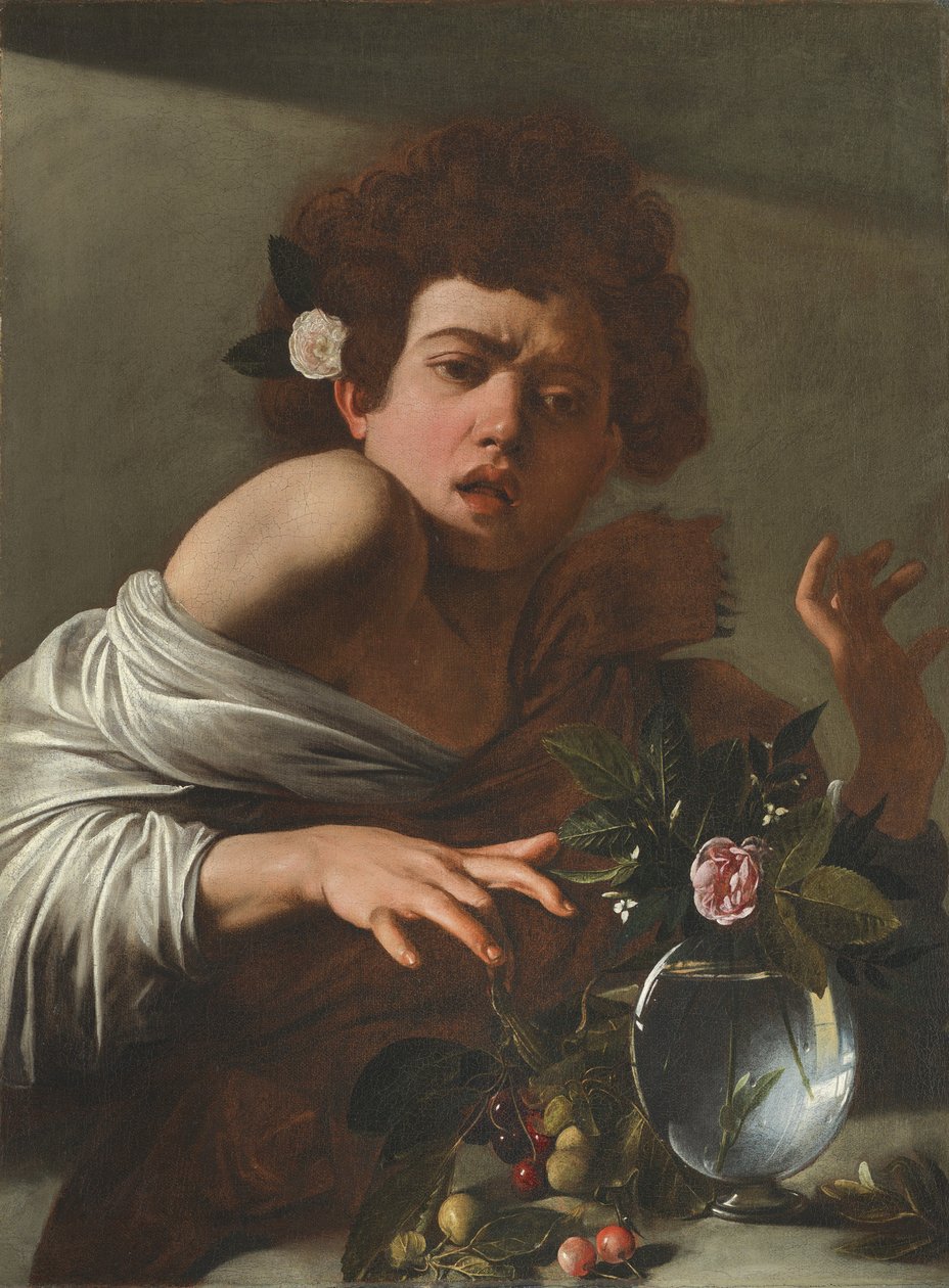 Dreng bidt af en firben, ca. 1595-1600 af Michelangelo Merisi Caravaggio