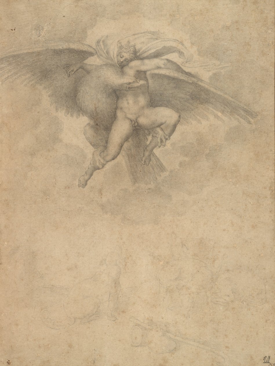 Ganymedes (sort kridt på papir) af Michelangelo after Buonarroti