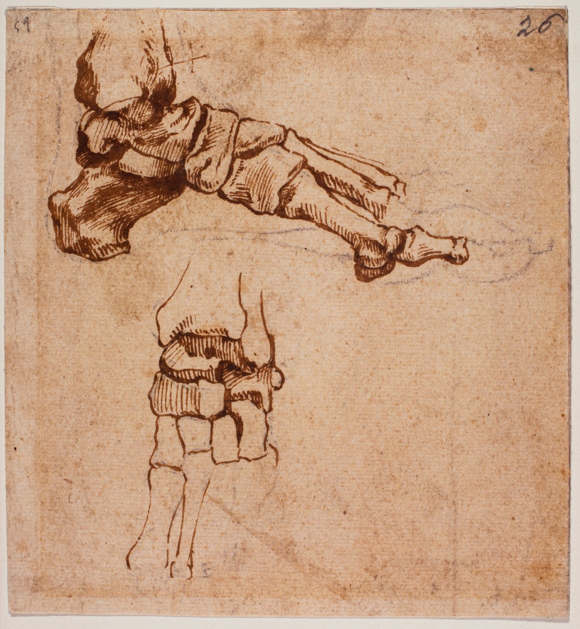 Anatomisk undersøgelse af foden af Michelangelo (after) Buonarroti