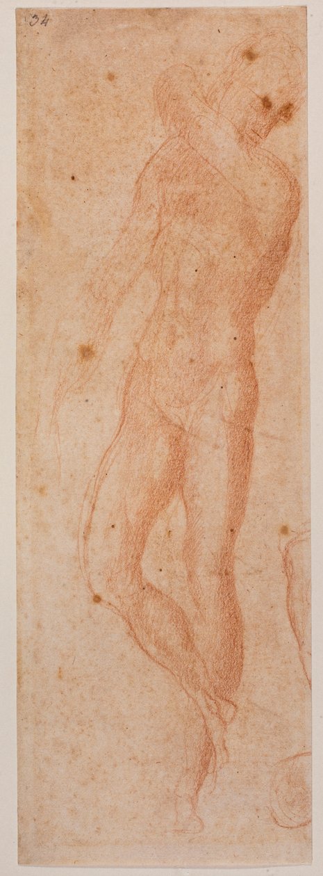 Studier af nøgne mænd af Michelangelo (after) Buonarroti