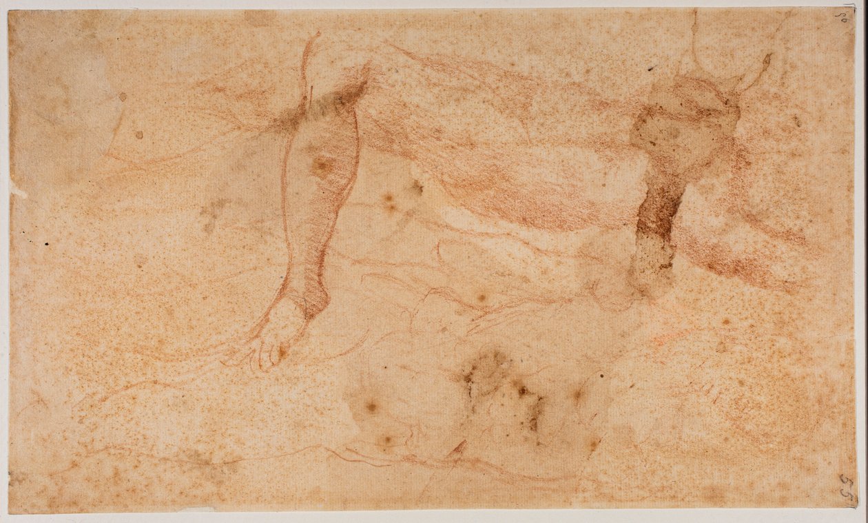 Studier af nøgenbilleder af Michelangelo (after) Buonarroti