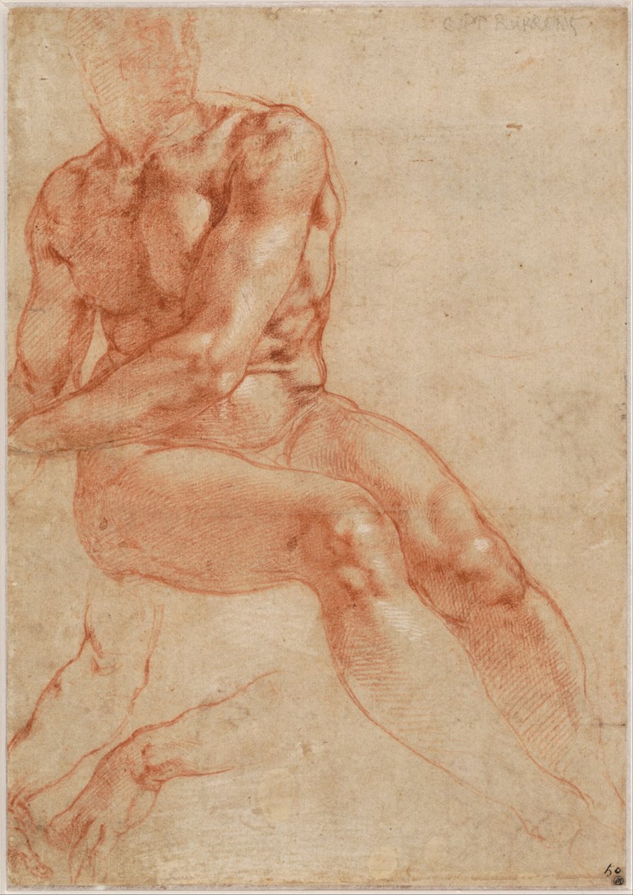 Siddende ung mandlig nøgenmodel og to armstudier (recto), ca. 1510-11 af Michelangelo