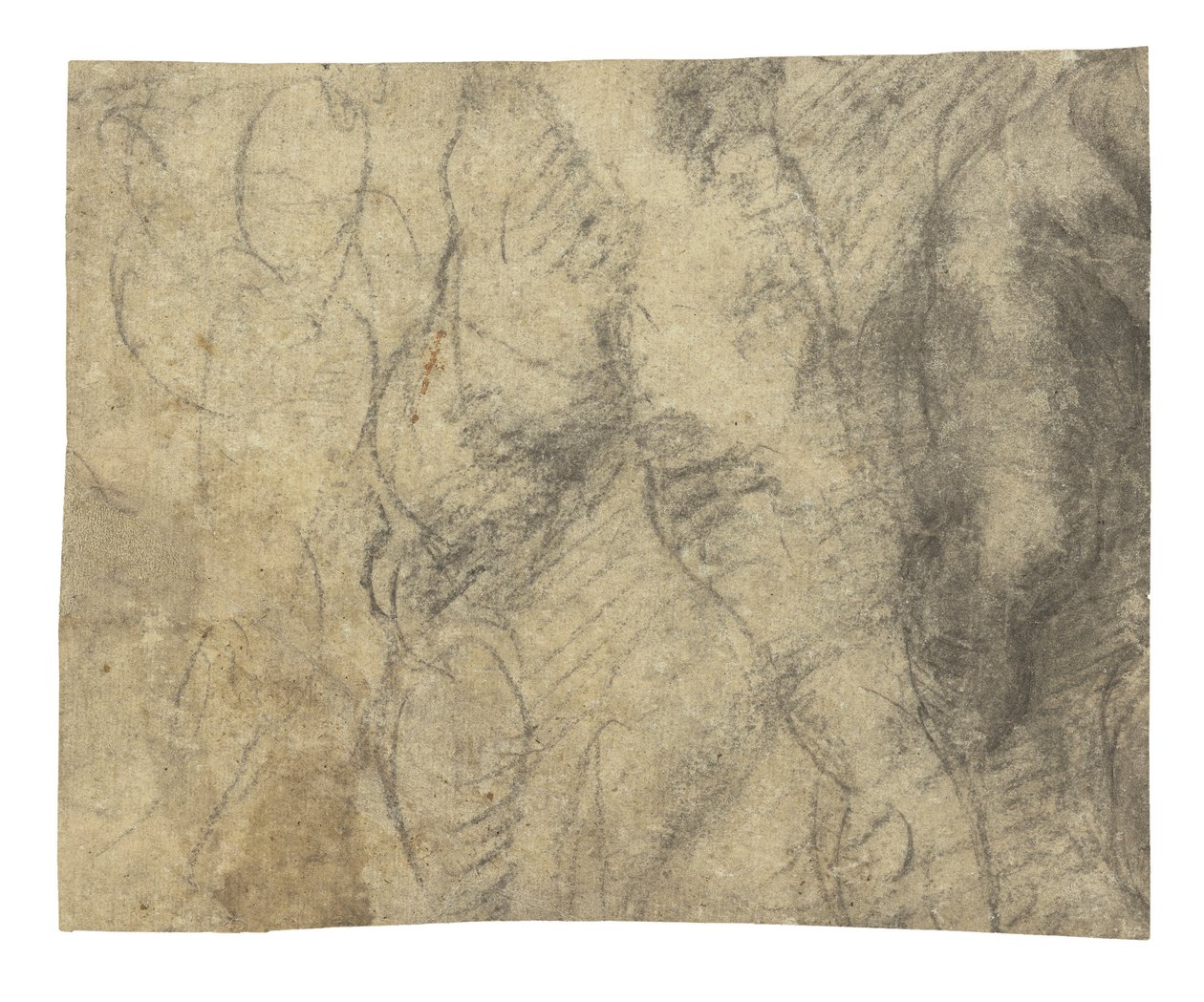 En nøgen mand set bagfra af Michelangelo Buonarroti