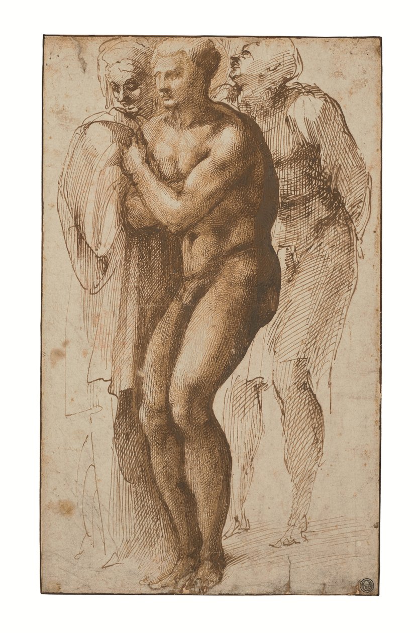 En nøgen mand (efter Masaccio) og to figurer bag ham (pen og to nuancer af brunt blæk, brun lavering, vandmærke) af Michelangelo Buonarroti