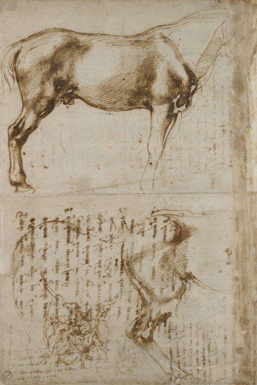 Anatomisk hestestudie, 1504 af Michelangelo Buonarroti