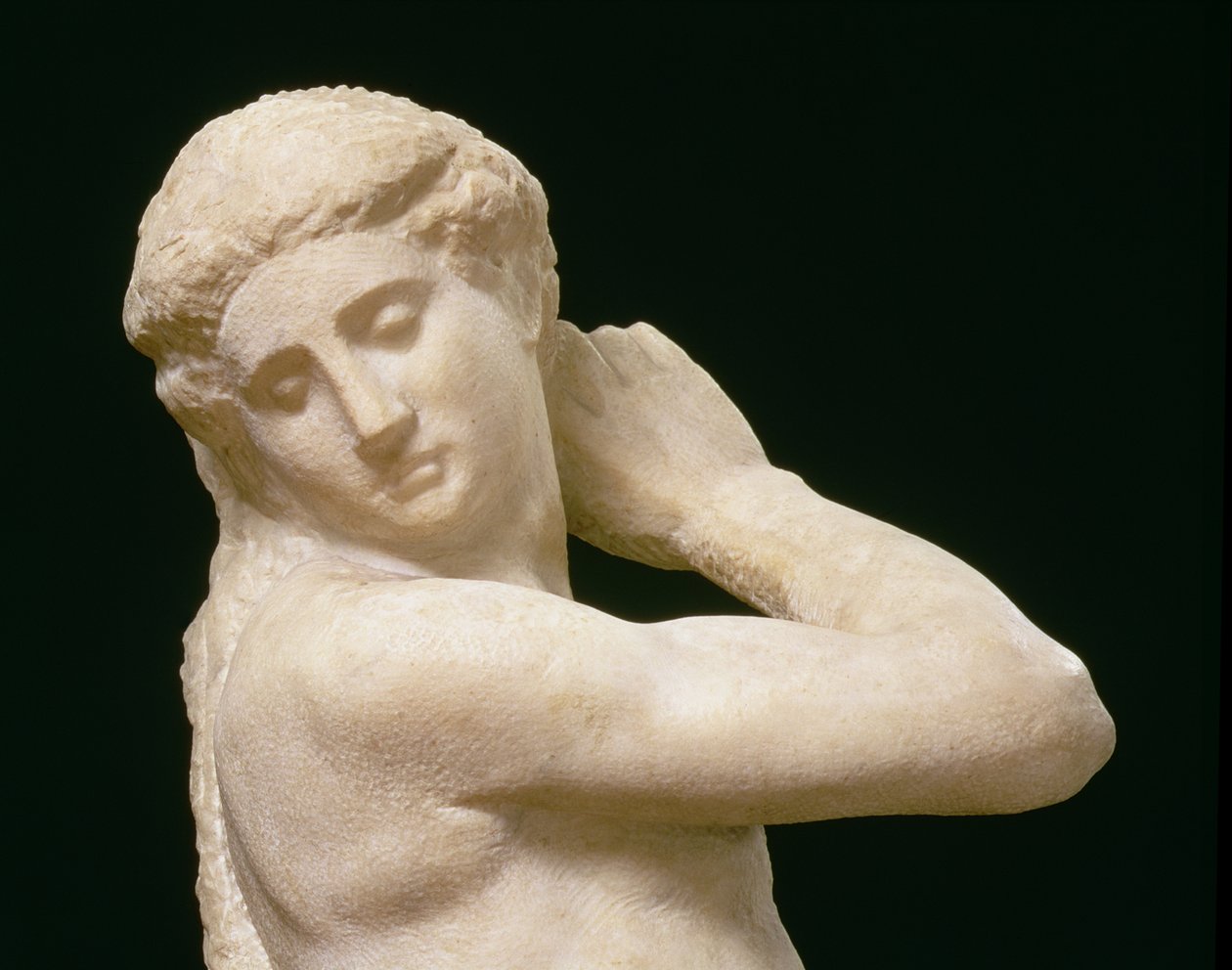 Apollo, eller David, detalje af hovedet, skulptur af Michelangelo Buonarroti 1475-1564 detalje af 79842 af Michelangelo Buonarroti