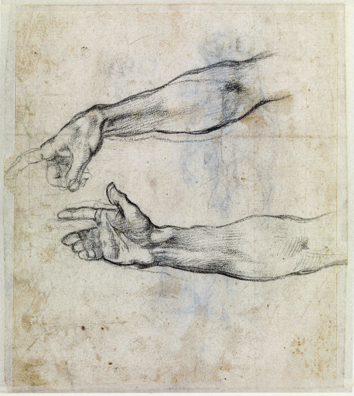 "Armdetaljer" af Michelangelo Buonarroti