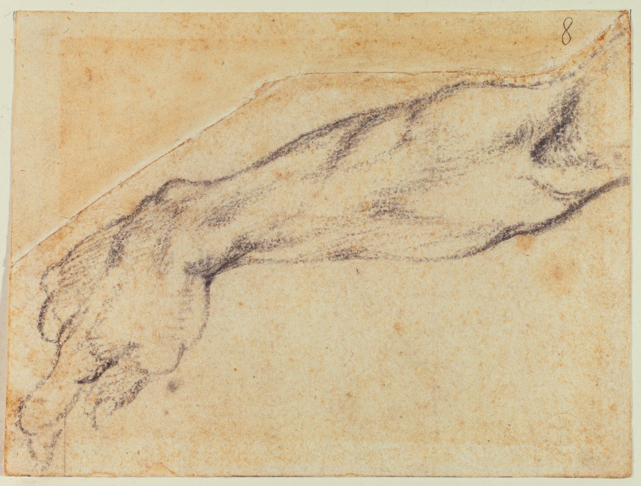 Armstudie til en sixtinsk figur af Michelangelo Buonarroti