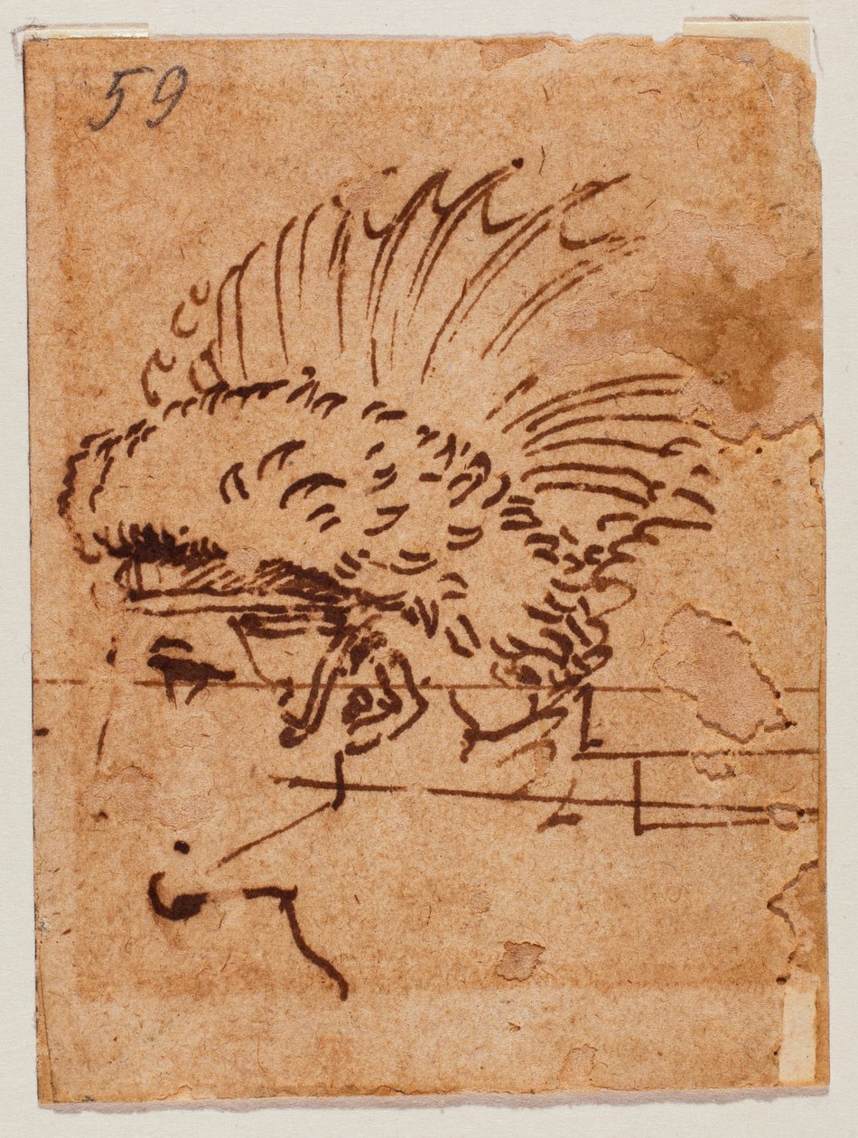 Toppet hoved af Michelangelo Buonarroti