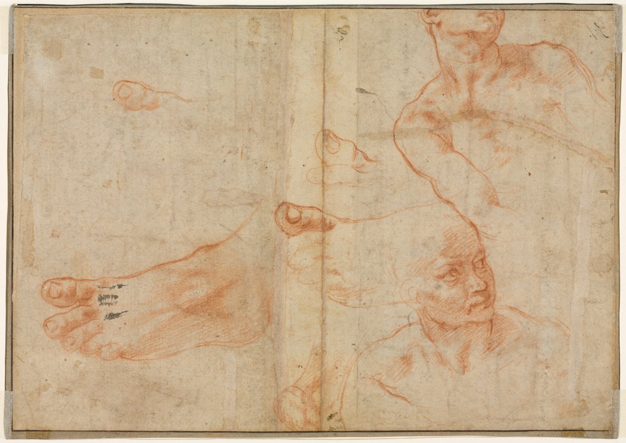 Figurstudier til det sixtinske loft (verso) af Michelangelo Buonarroti