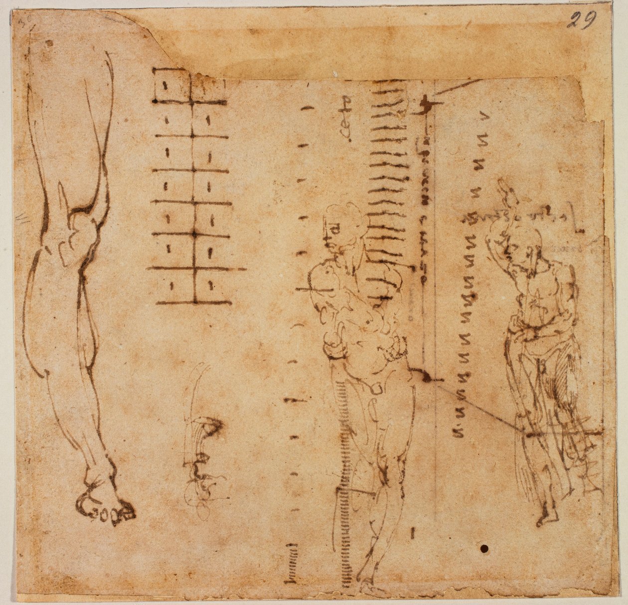 Figurstudier af Michelangelo Buonarroti