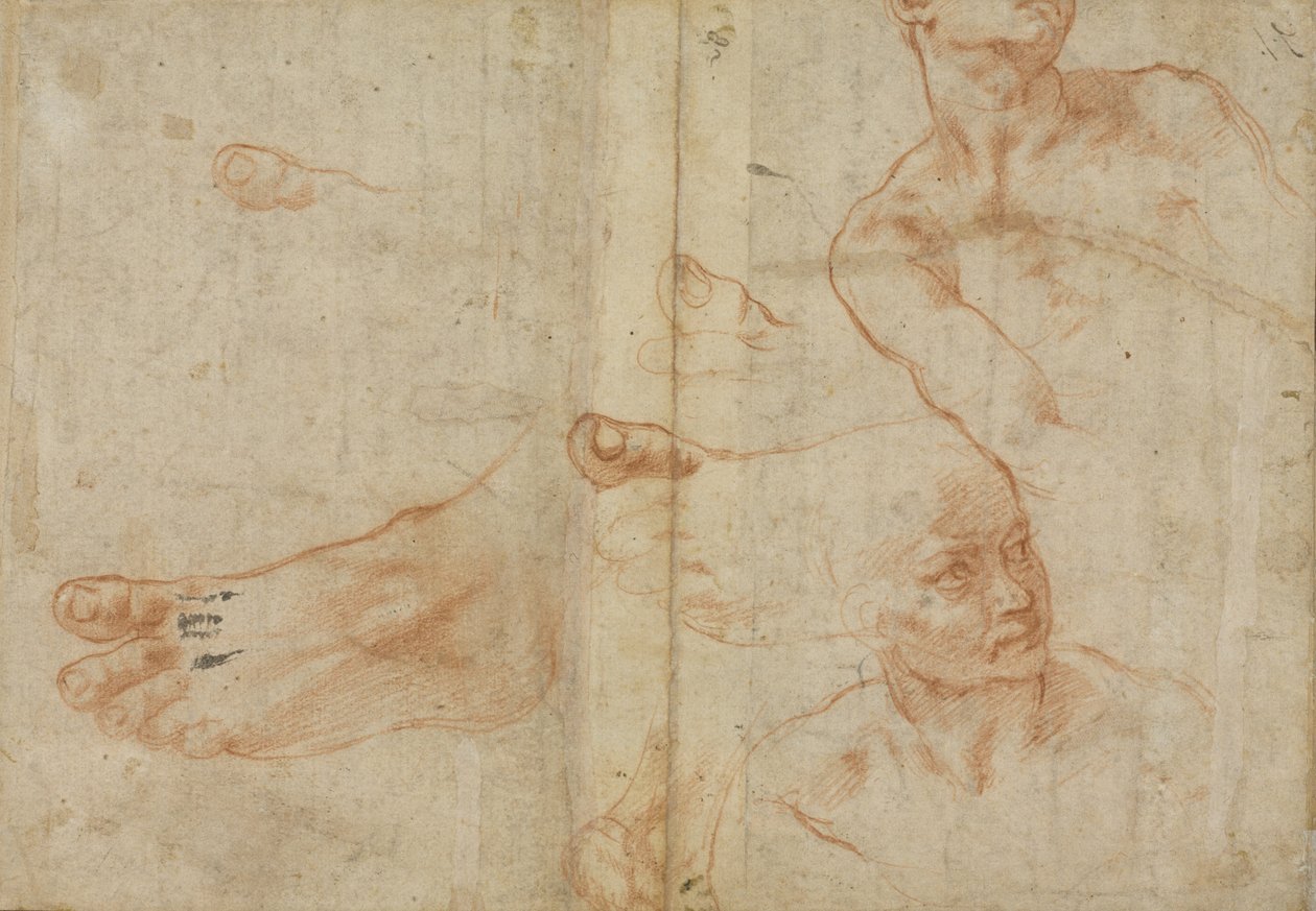 Figurstudier for det sixtinske loft af Michelangelo Buonarroti