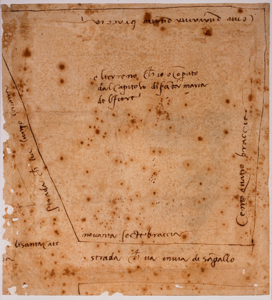 Grundplan af Michelangelo Buonarroti