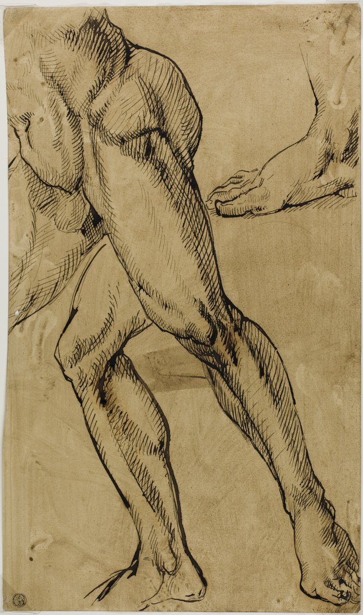 Ben og fødder af mandlige nøgen af Michelangelo Buonarroti