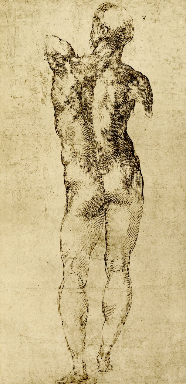 Mand nøgen af Michelangelo Buonarroti