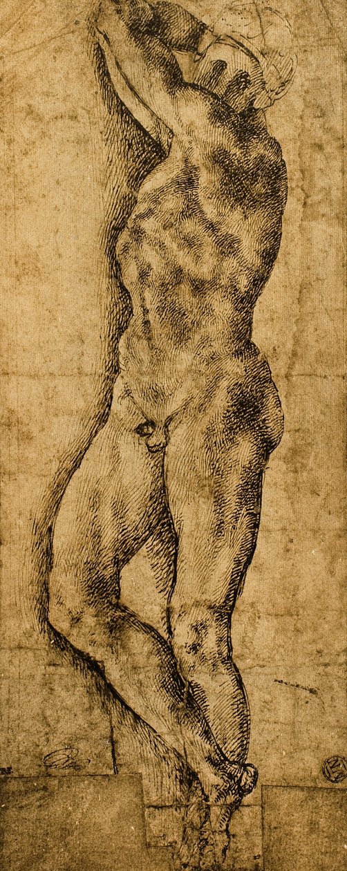 Mand nøgen; tegning af Michelangelo. Louvre, Paris af Michelangelo Buonarroti
