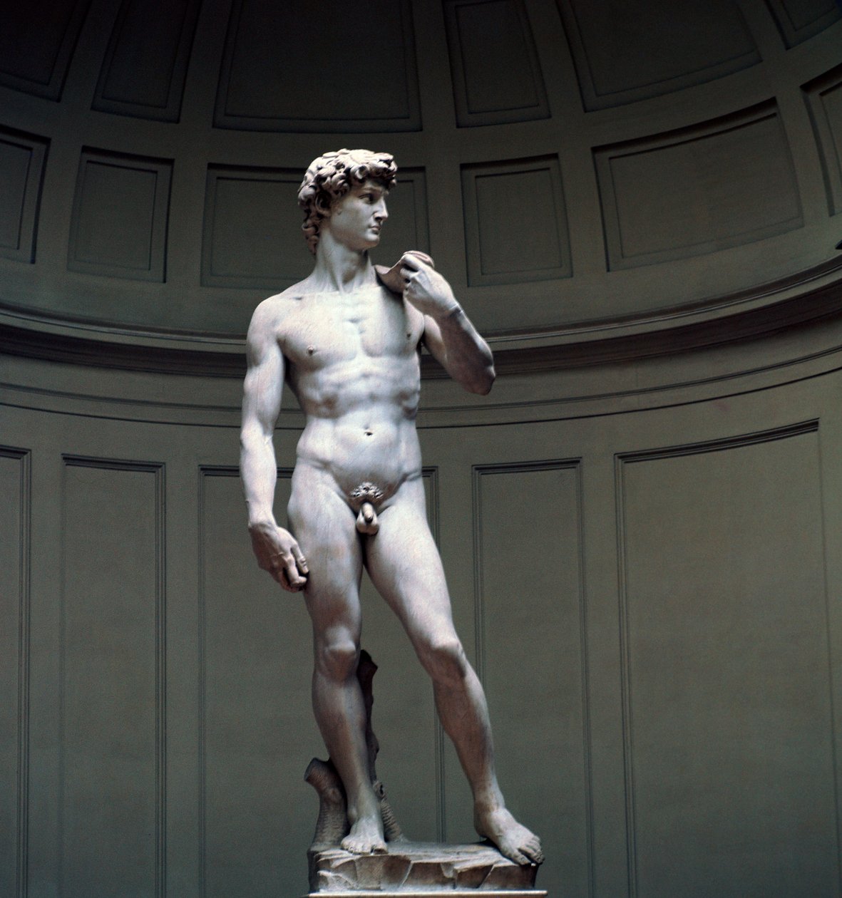 Michelangelos David, 1500-tallet af Michelangelo Buonarroti