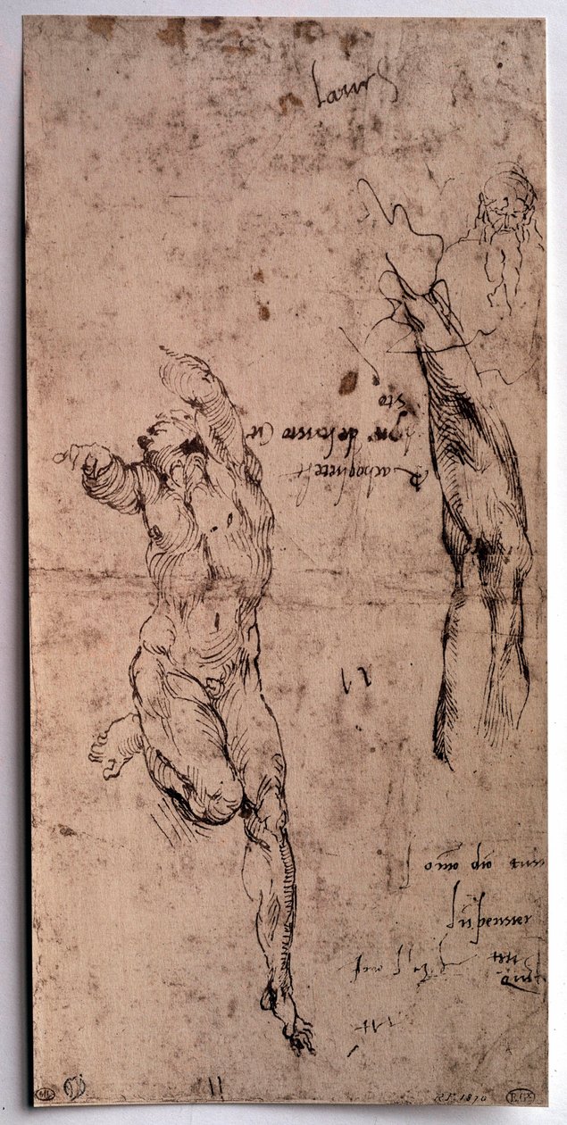 Nøgen mand, armstudie Tegning af Michelangelo Buonarroti dit Michelangelo (Michelangelo eller Michel Ange af Michelangelo Buonarroti