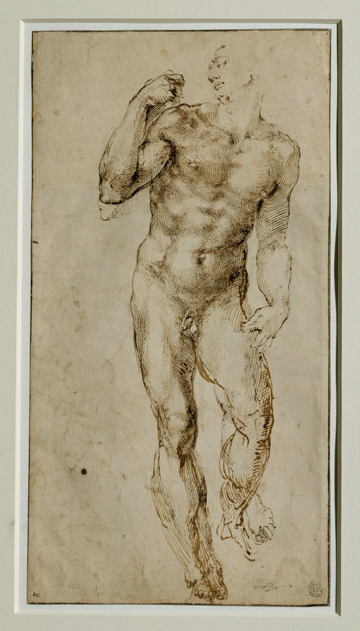 Mandlig nøgen, set forfra, ca. 1502-1506 ... af Michelangelo Buonarroti