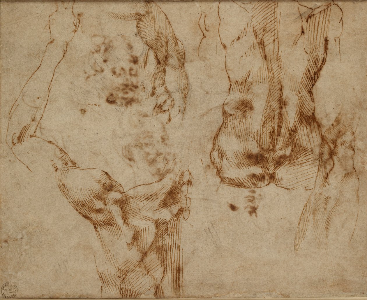 Nøgenstudier, c1490-1560 af Michelangelo Buonarroti