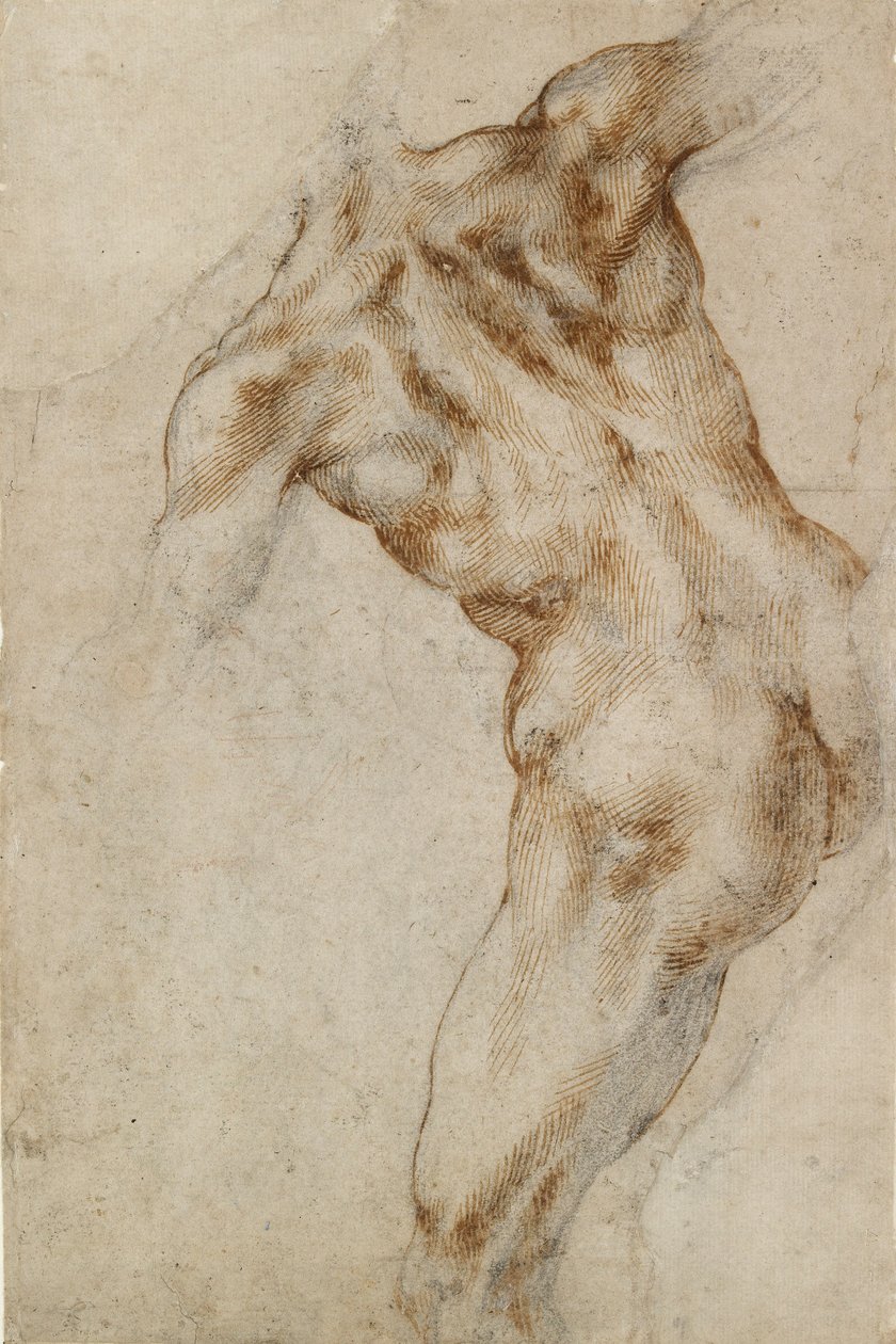 Nøgen mandlig Torso, begyndelsen af det 16. århundrede af Michelangelo Buonarroti