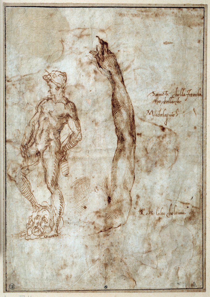 Nøgenstudie. Michelangelo Buonarroti dit Michelangelo (Michelangelo eller Michel Ange af Michelangelo Buonarroti