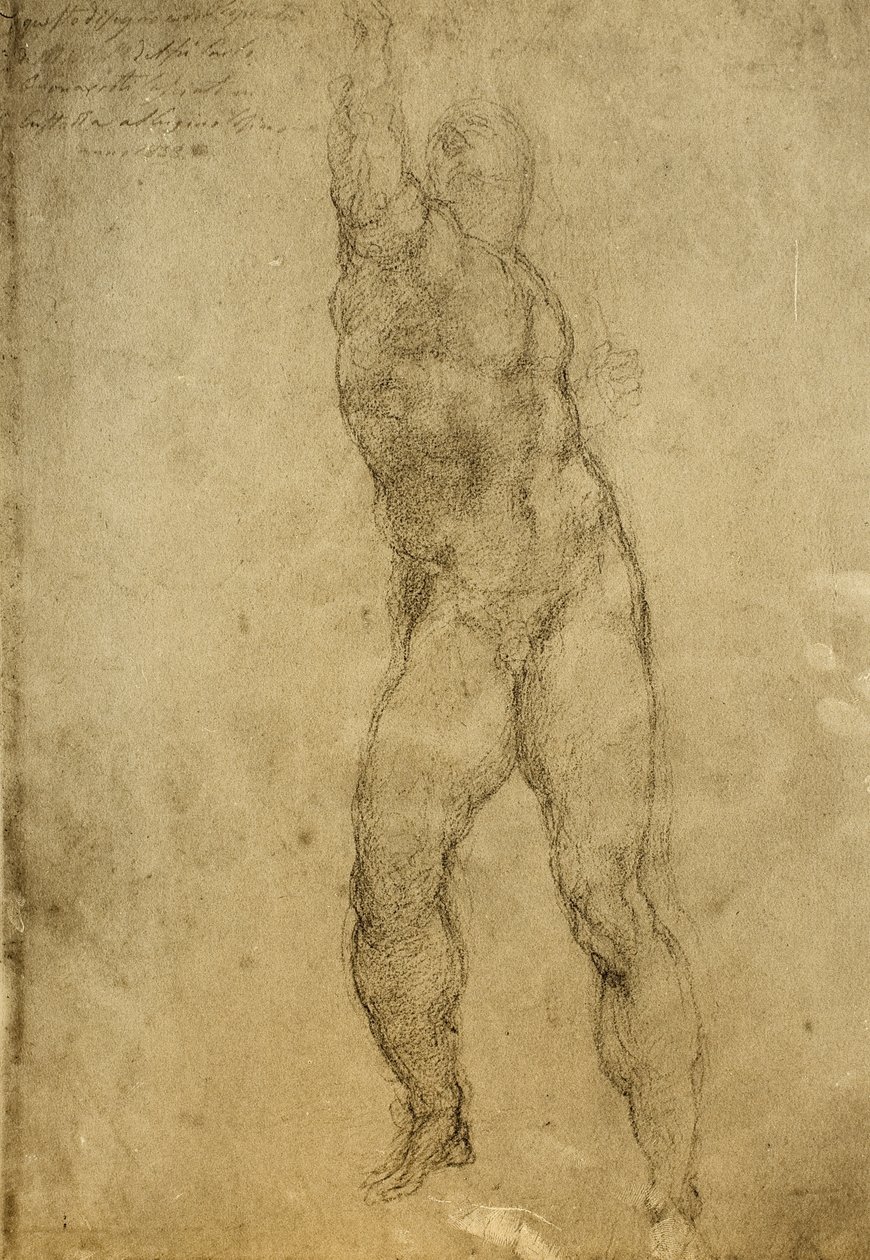 Nøgenstudie, tegning af Michelangelo. Gallerie dellAccademia, Venedig af Michelangelo Buonarroti