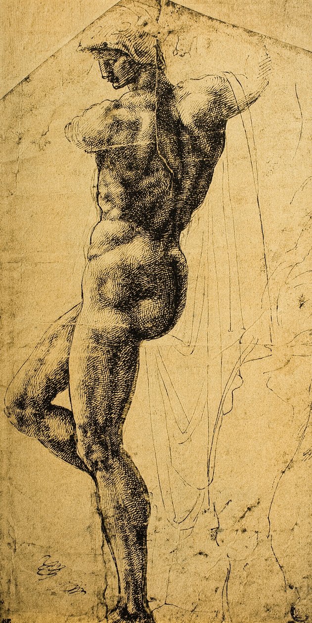 Nøgenstudie; tegning af Michelangelo. Musée du Louvre, Paris af Michelangelo Buonarroti
