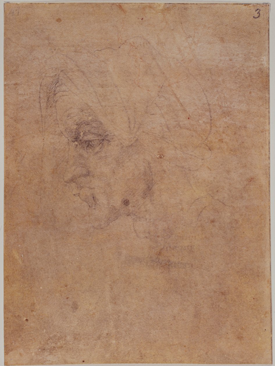 Profil af en gammel kvinde af Michelangelo Buonarroti