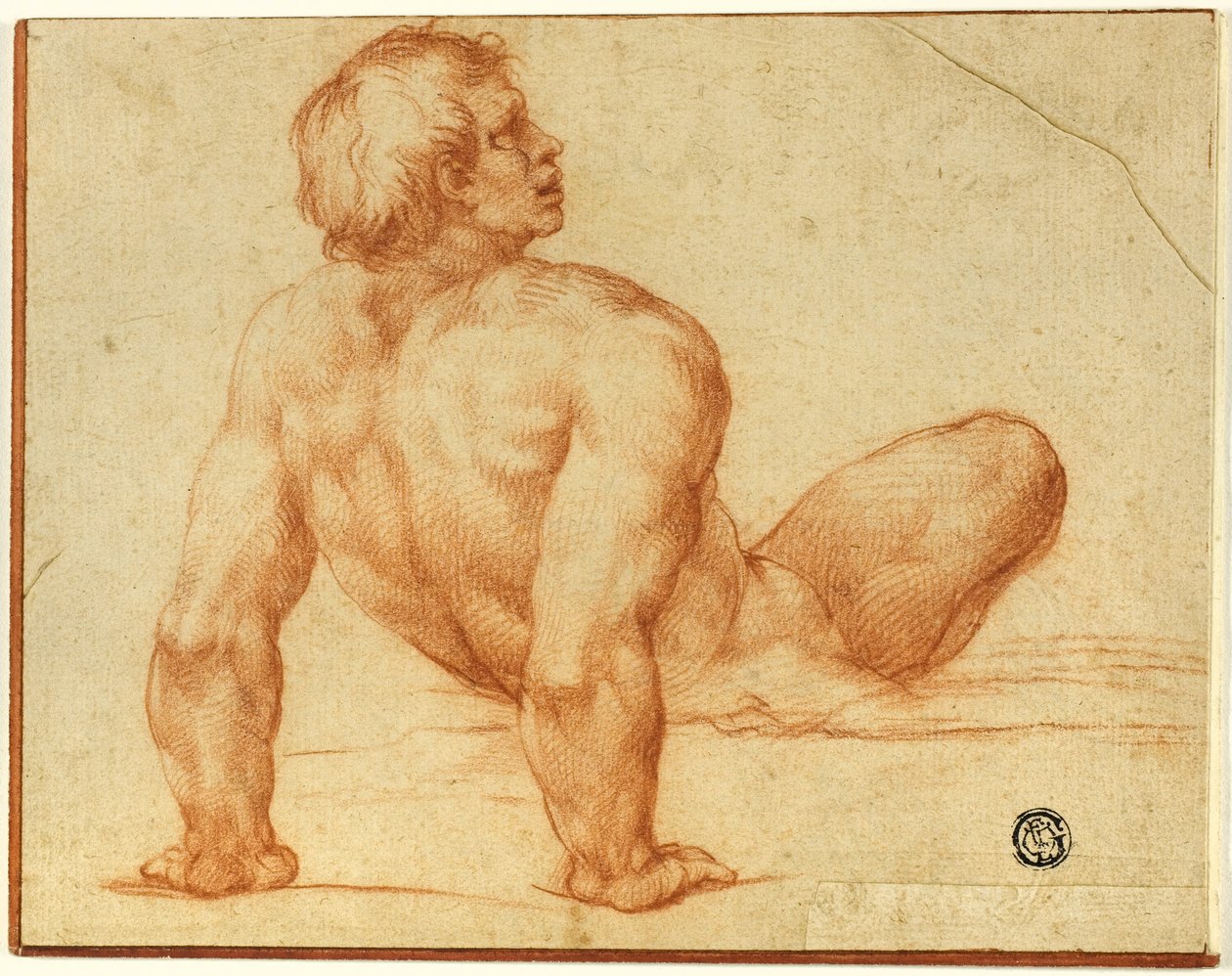 Siddende nøgen mand af Michelangelo Buonarroti