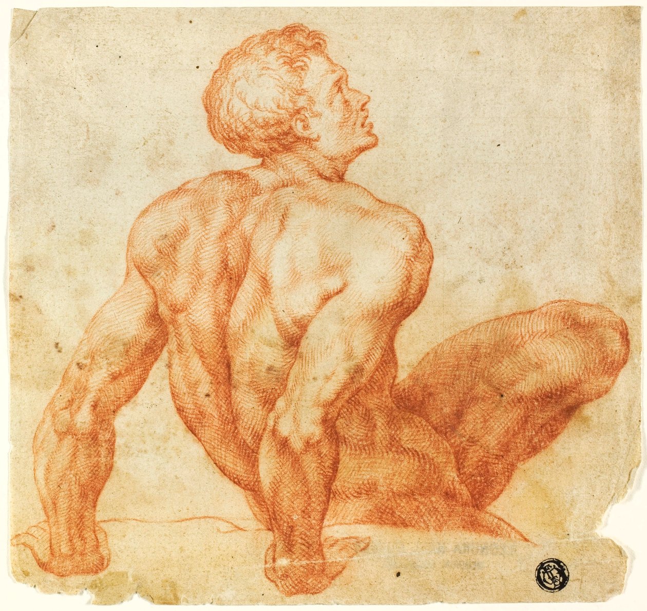 Siddende nøgen mand af Michelangelo Buonarroti