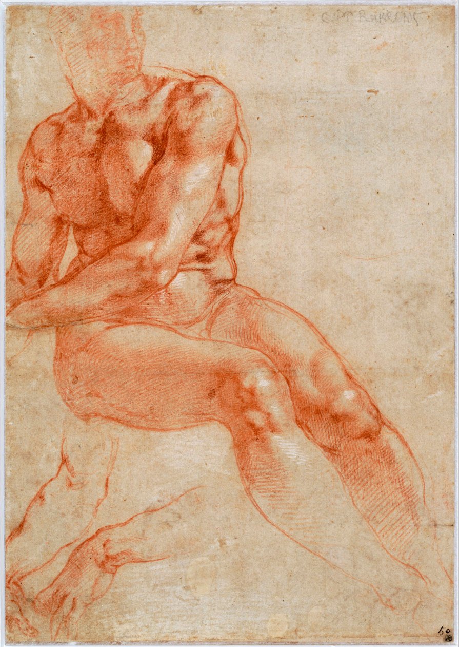 Siddende unge mandlige nøgen- og toarmsstudier, ca 1510-1511 af Michelangelo Buonarroti