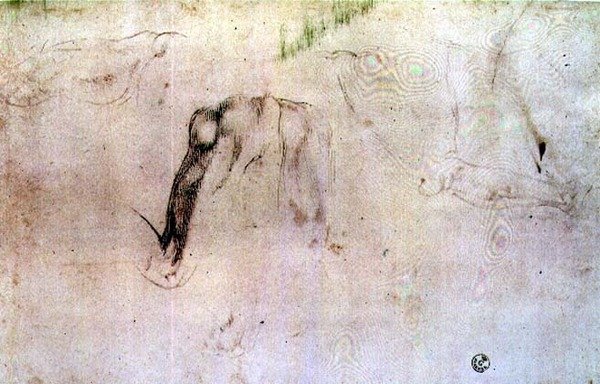 Skitse af ben (kul på papir) af Michelangelo Buonarroti