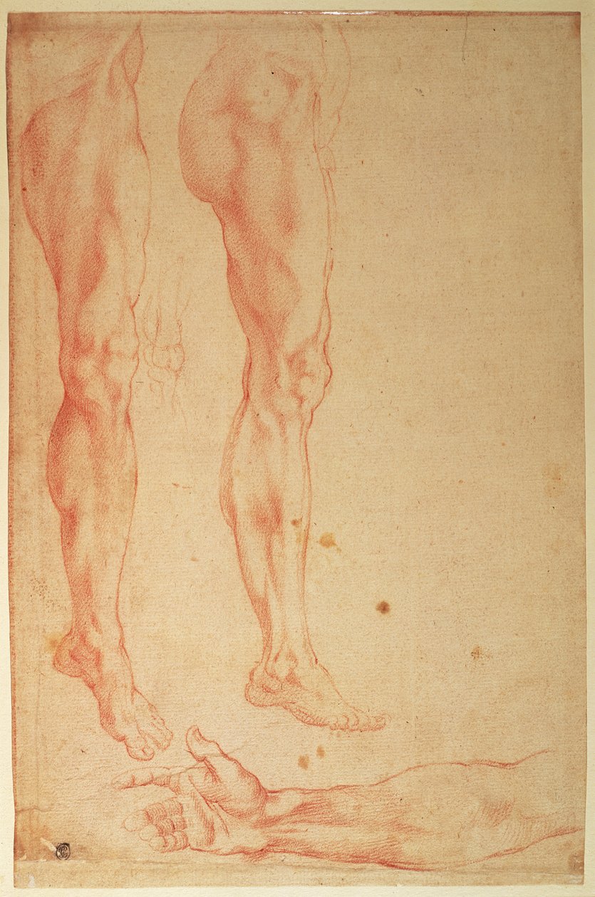 Studier af ben og arme (rødt kridt på papir) af Michelangelo Buonarroti