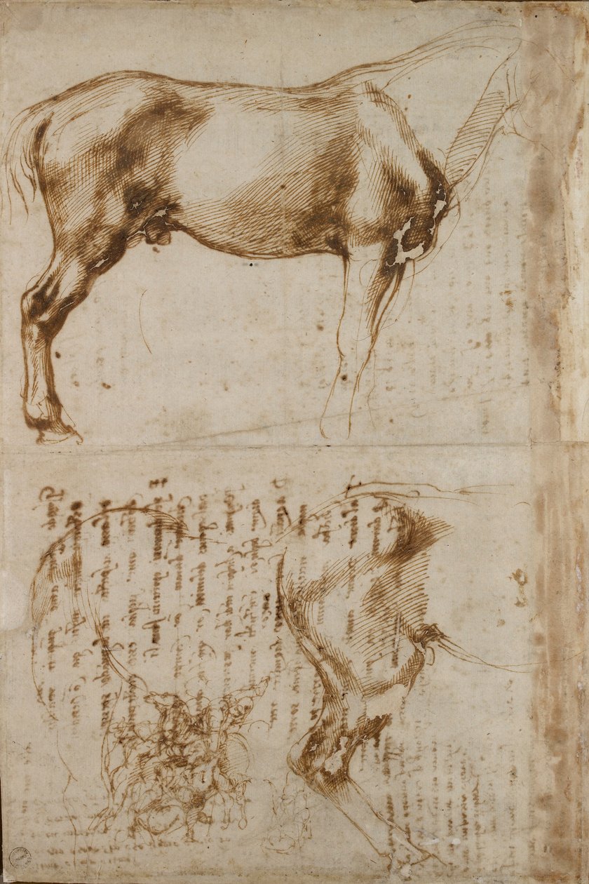 Studier af en hest og en rytter, der angriber fodsoldater, begyndelsen af 1500-tallet af Michelangelo Buonarroti
