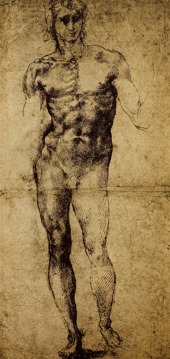 Studie for en mandlig nøgen, Michelangelo Buonarroti (1475-1564), tegning, Paris, Louvre-museet af Michelangelo Buonarroti