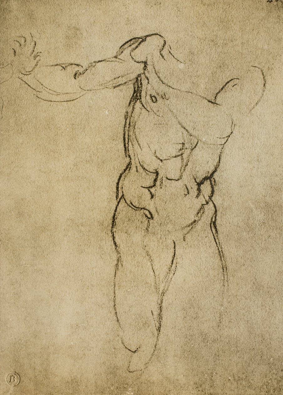 Studie til en maskulin buste, tegning af Michelangelo. Casa Buonarroti, Firenze af Michelangelo Buonarroti
