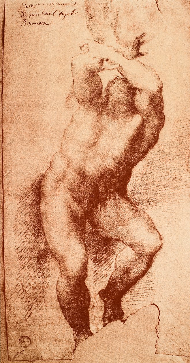 Studie til en af figurerne fra den sidste dom, tegning af Michelangelo. Gallerie dellAccademia, Venedig af Michelangelo Buonarroti