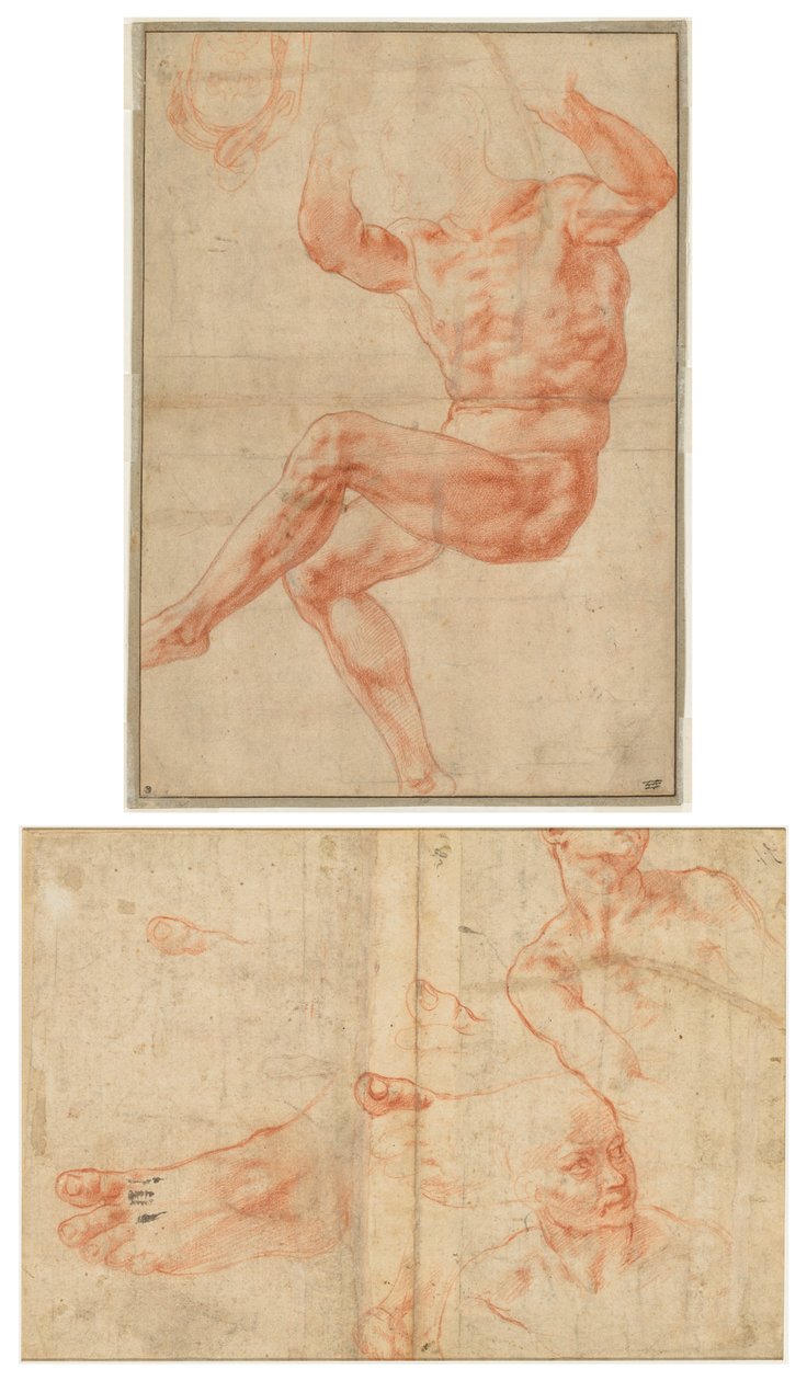 Studie for de nøgne unge over profeten Daniel (recto); Figurstudier til det sixtinske loft (verso) af Michelangelo Buonarroti