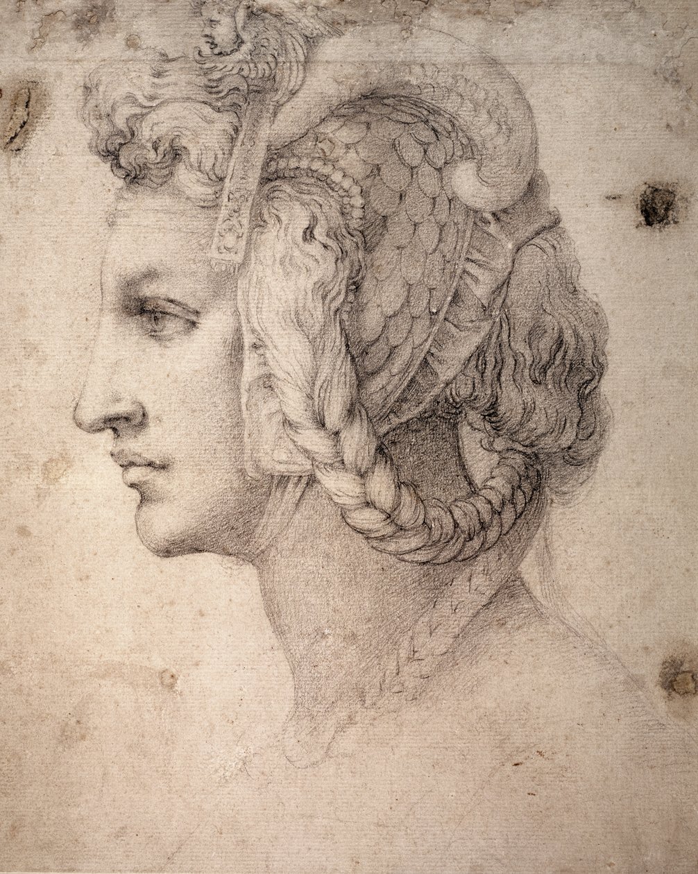 Studie af hovedet af Michelangelo Buonarroti
