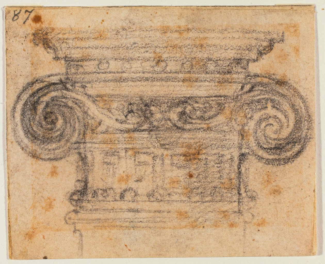 Undersøgelse af ionisk kapital af Michelangelo Buonarroti