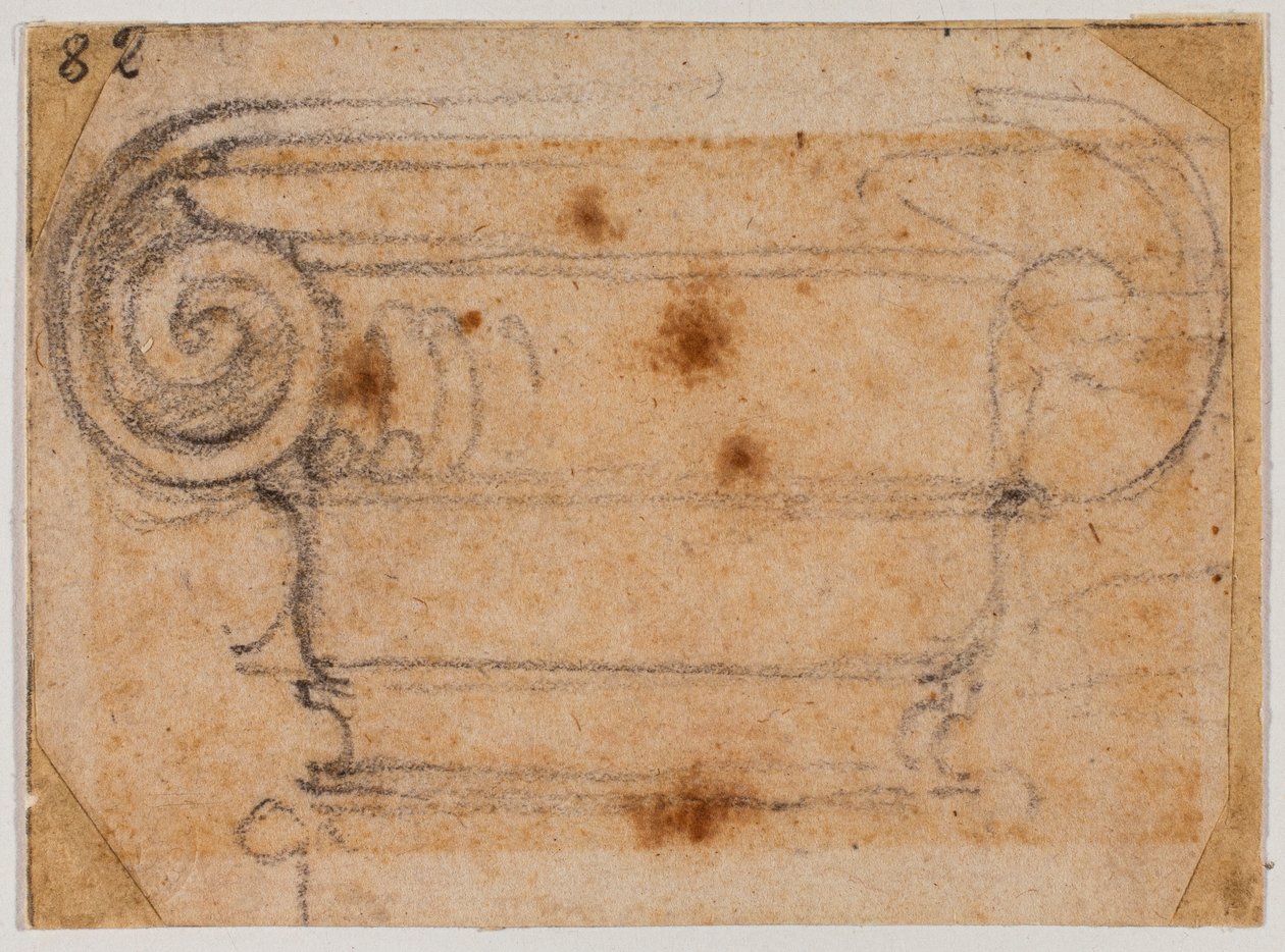 Undersøgelse af ionisk kapital af Michelangelo Buonarroti