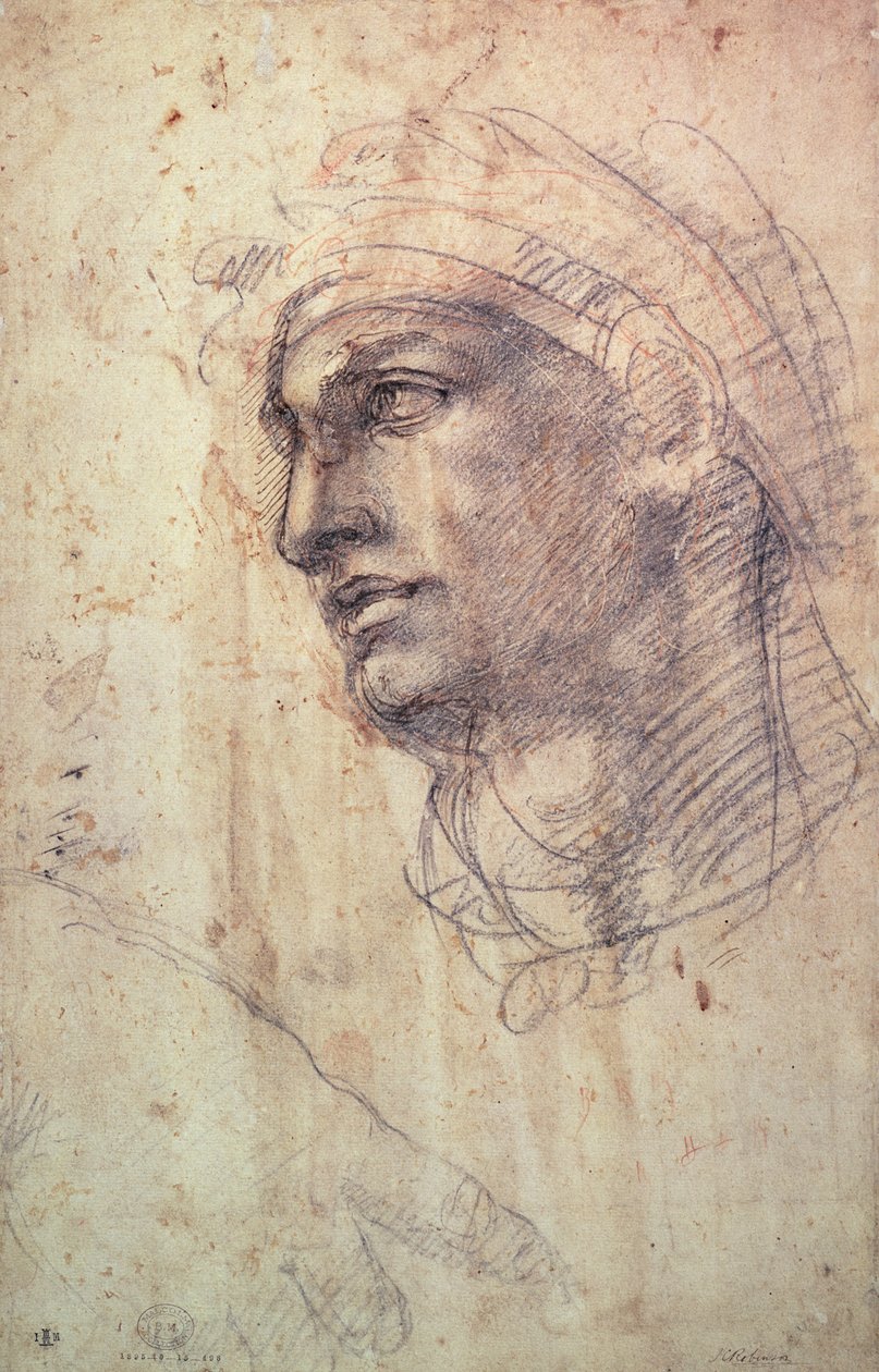 Studie af et hoved (kul på papir) af Michelangelo Buonarroti