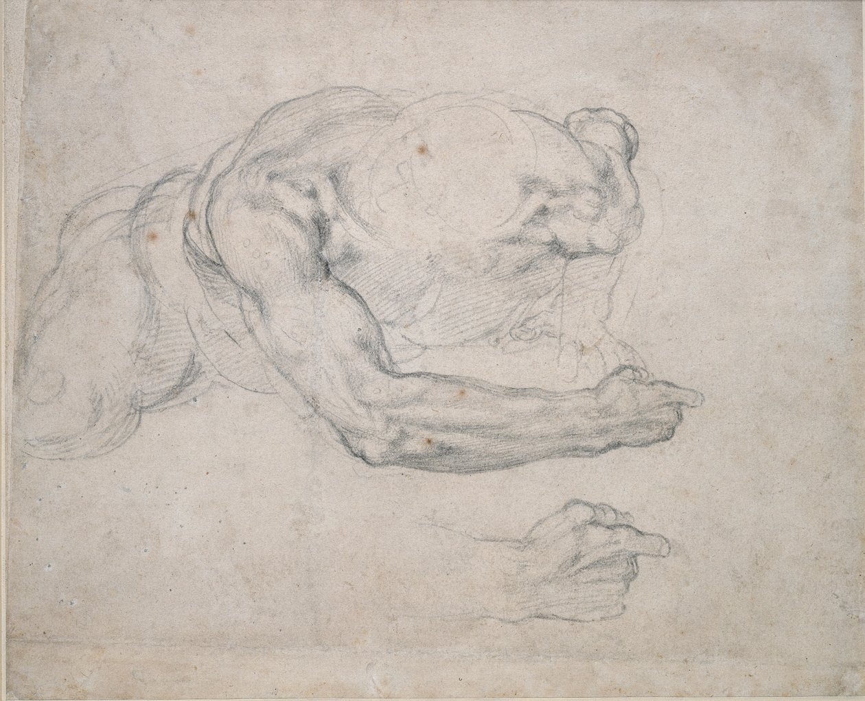 Studie af en mand, der rejser sig fra jorden, 1500-tallet af Michelangelo Buonarroti