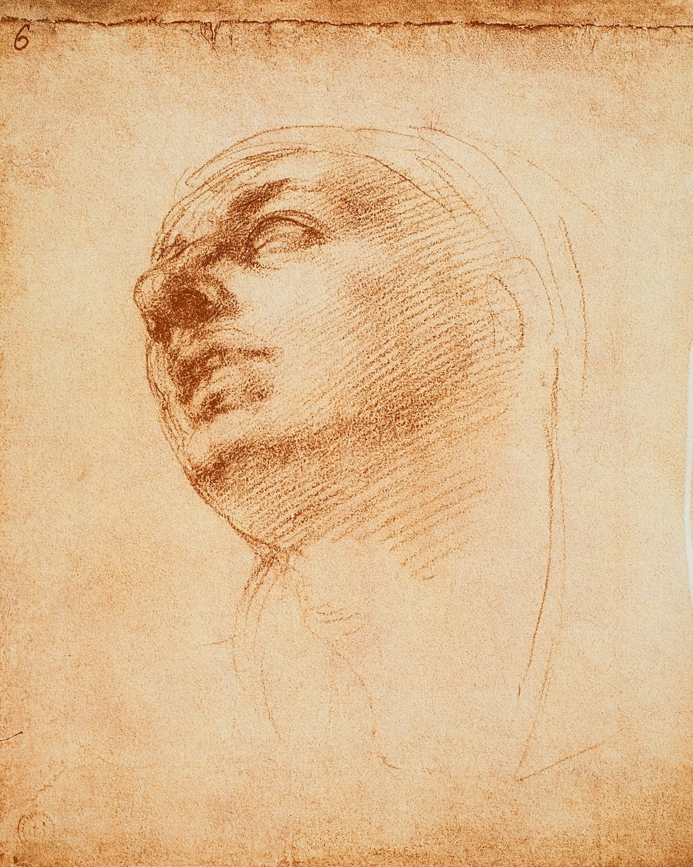Studie af et ansigt, tegning af Michelangelo. Casa Buonarroti, Firenze af Michelangelo Buonarroti