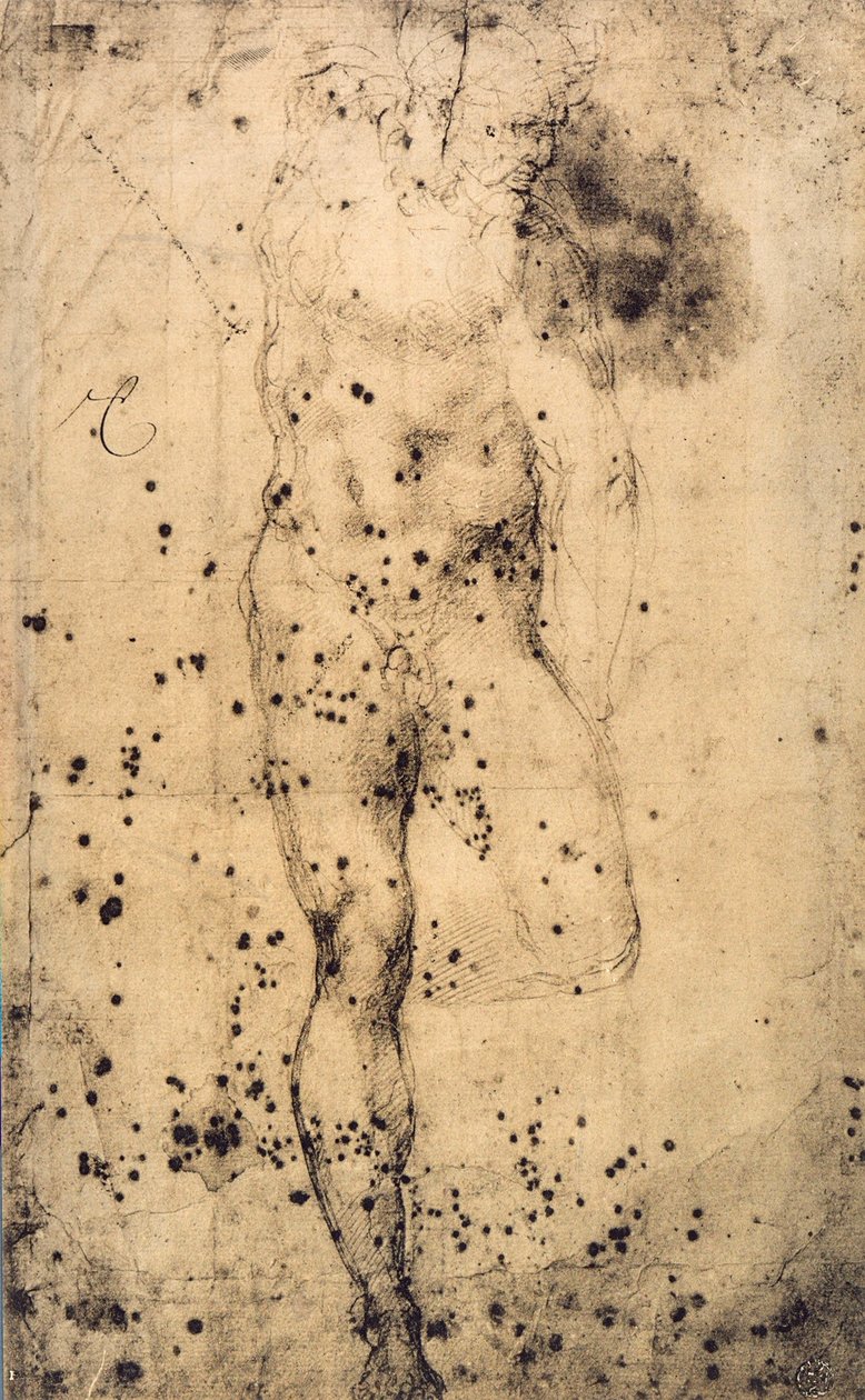 Undersøgelse af en nøgen mand med et løftet venstre ben; tegning af Michelangelo. Musée du Louvre, Paris af Michelangelo Buonarroti